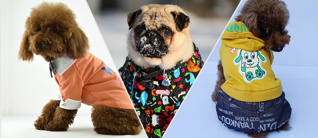 Dog Winter Fashion Trends
