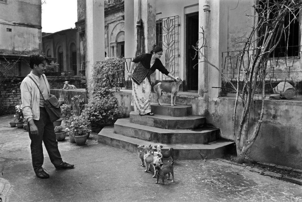 Dogs documentary photography by Kaushik sSengupta