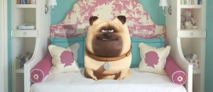 Dog Website India
