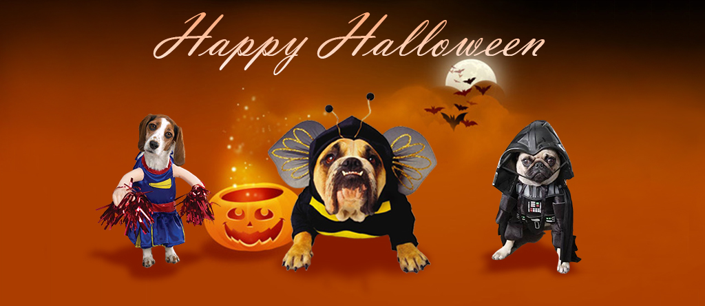 Halloween Costumes for Dogs