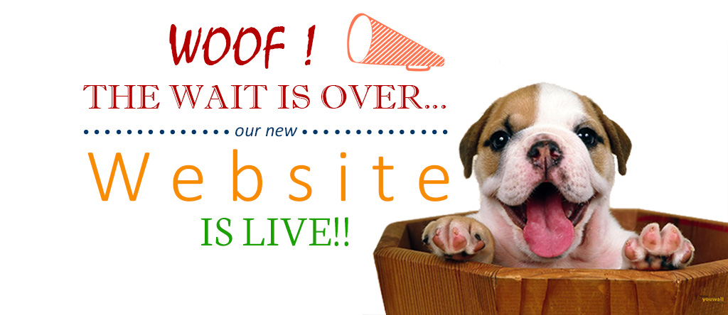 DogExpress - Dog Express India’s first dog infotainment website