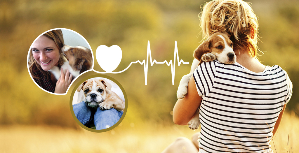 Health Benefits of Having A Dog