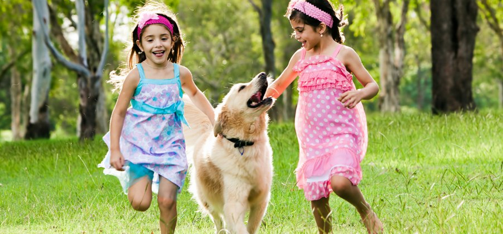 Reasons to Keep a Pet Dog