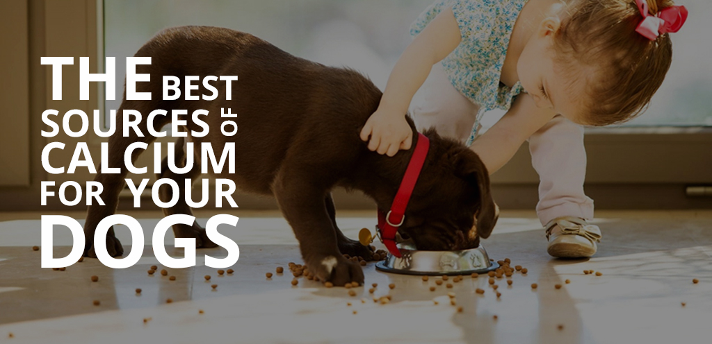 calcium tablets for dogs