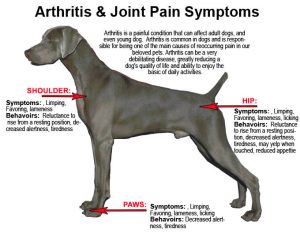 Arthritis