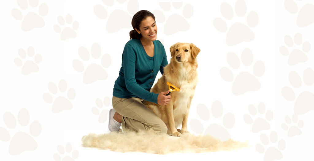 excessive shedding in dog