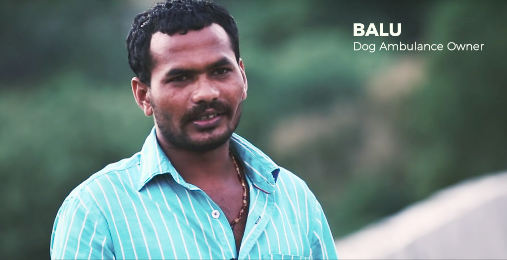 Banu For The Love Of Dogs