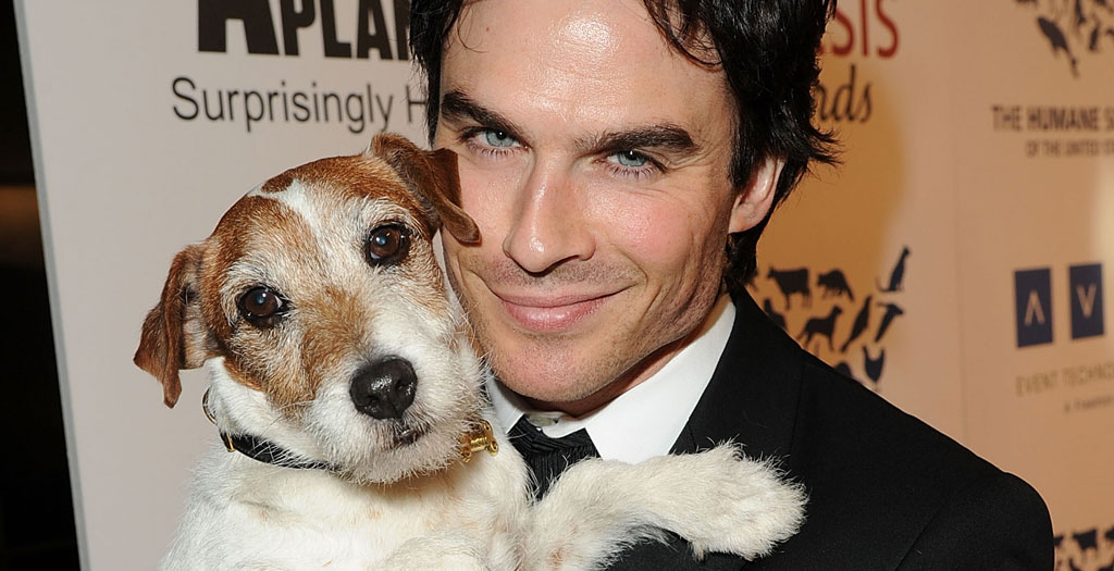 Ian somerhalder love dogs