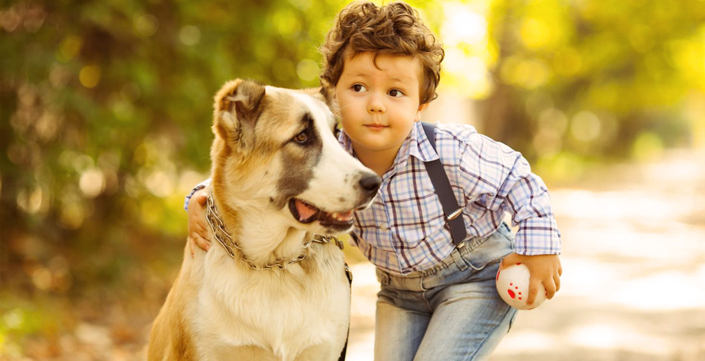 how kids should intereact with dogs
