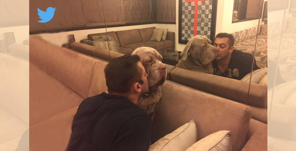 Salman Khan with his pet