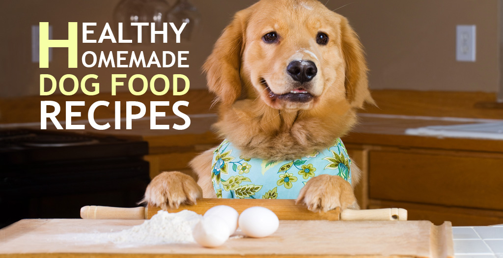 Dog Food Recipes