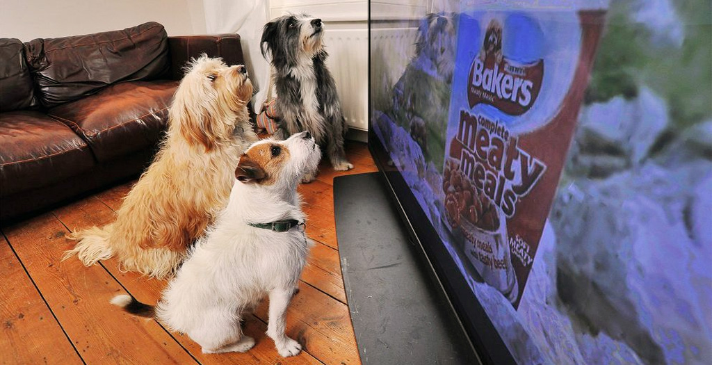 dog friendly TV remote