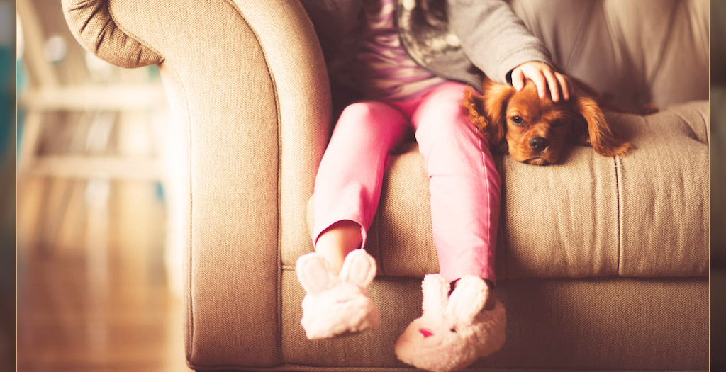 bringing a new puppy home