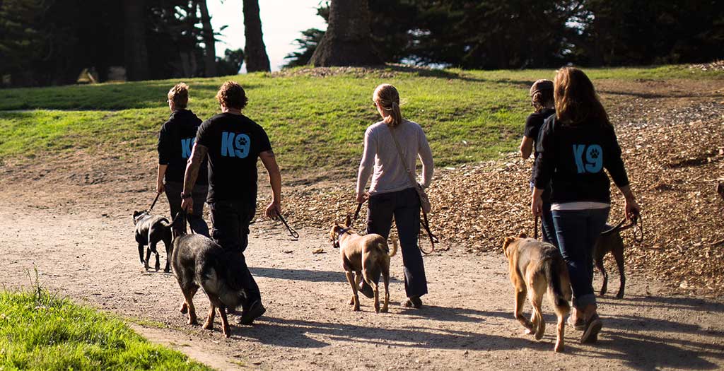 Obedience & Protection Seminar