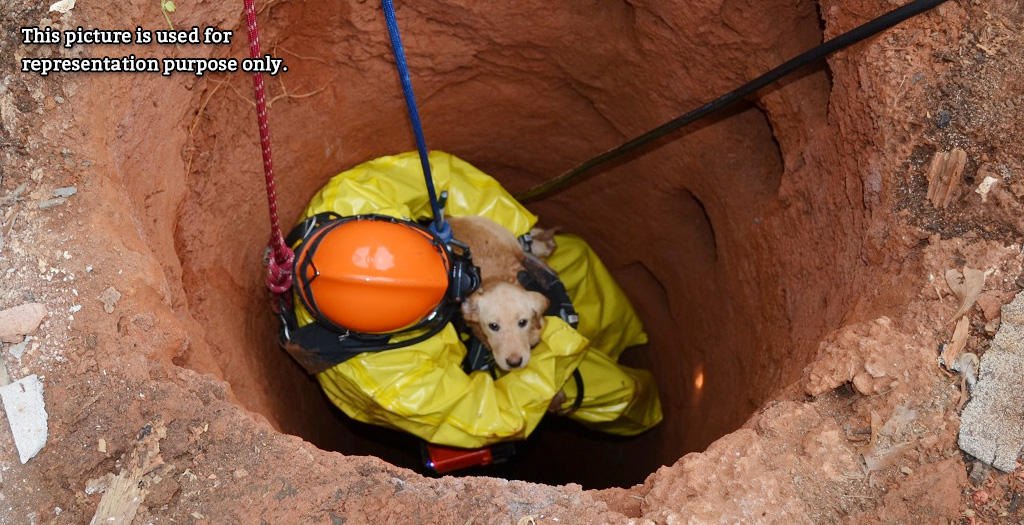 Firemen Rescue A Dog