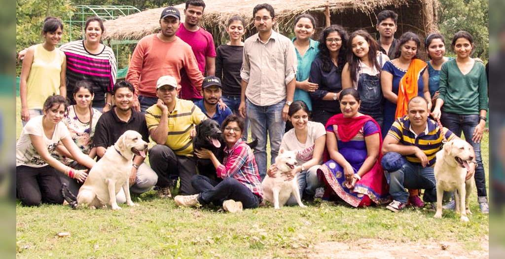 human_dog_interaction