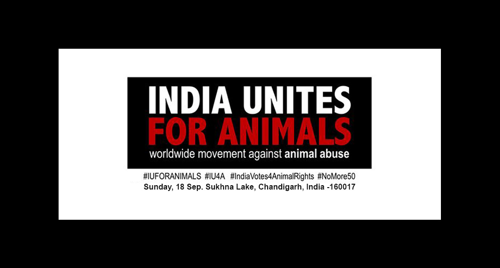 India Unites For Animals
