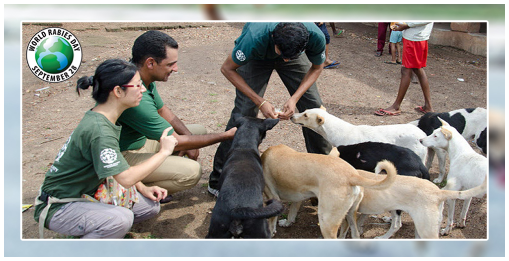 World Rabies Day