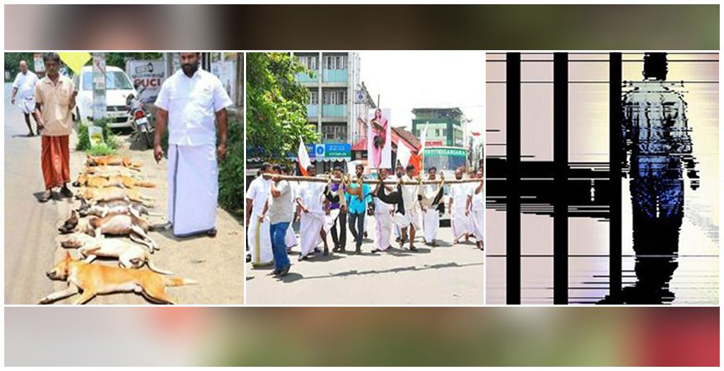 Youth Wing Activists