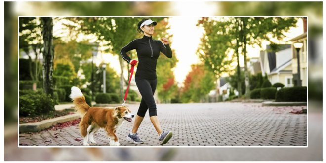 3 Work Outs You Can Do With Your Dog
