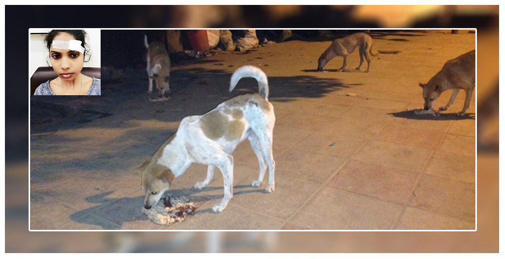 Feeding stray dogs