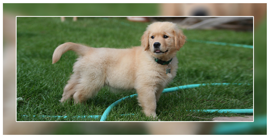 Common health problem