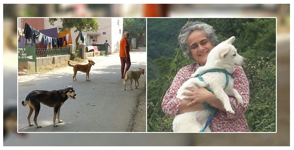 Indigee Angels Trust