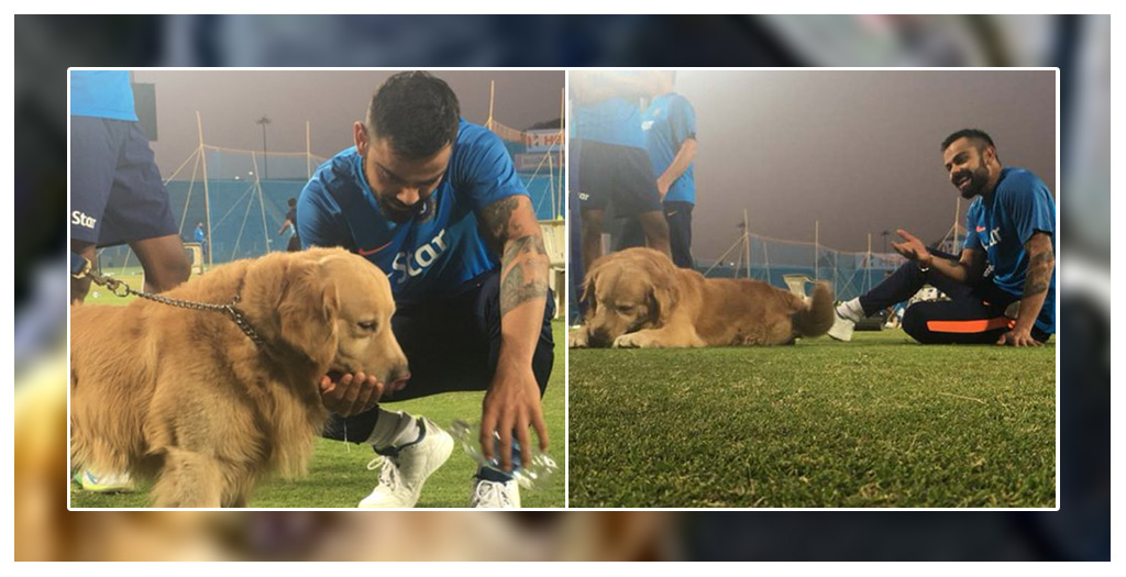 Virat Kohli with dog