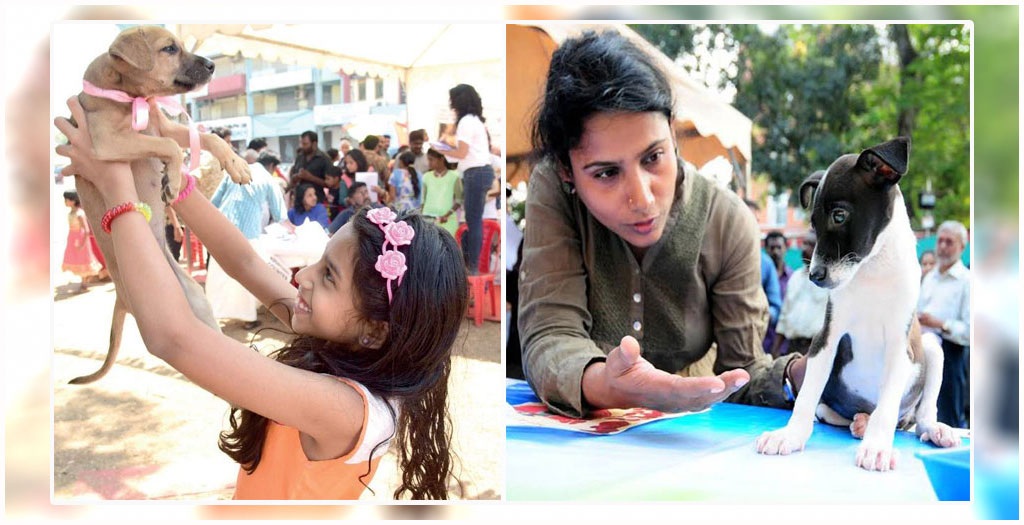 Adoption drive for stray dogs