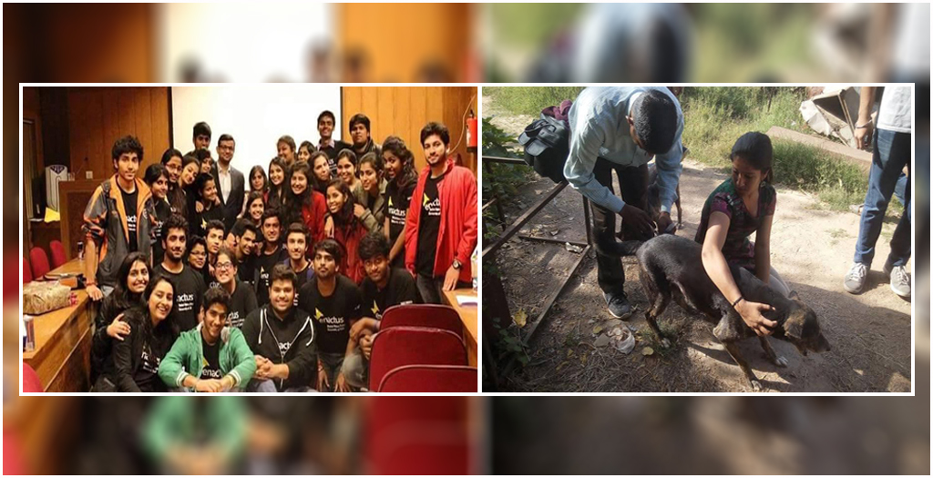 Delhi University students promote desi dogs adoption