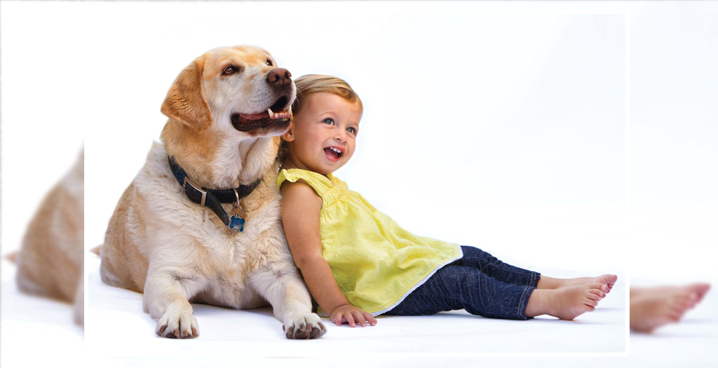 Dog with kid