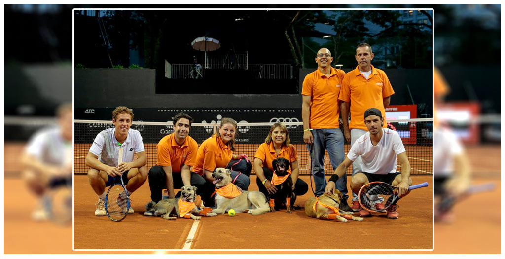 Shelter dogs serve as ball boy