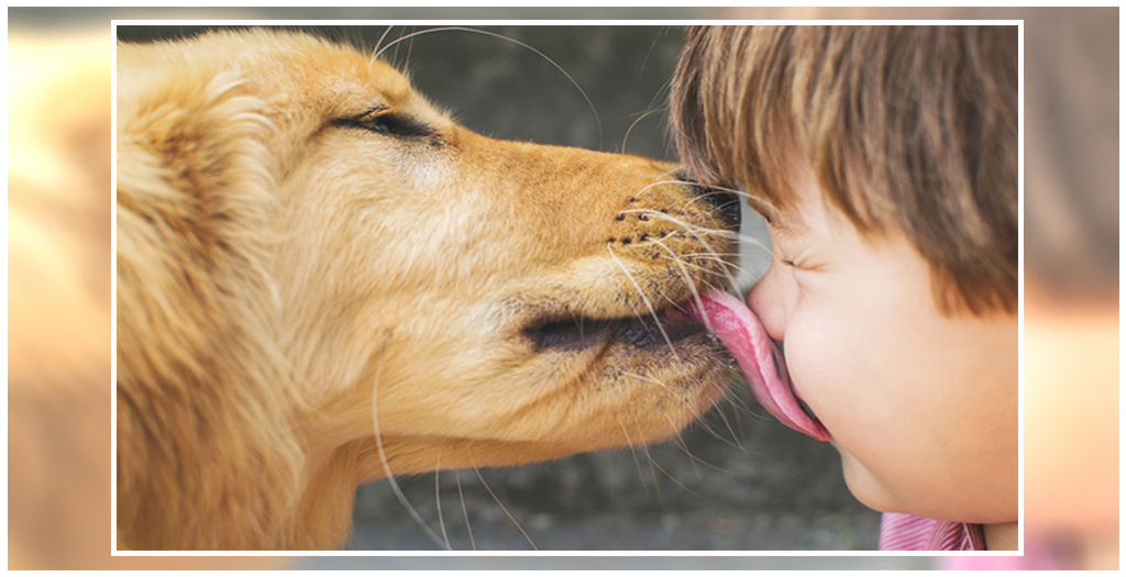 Dog lick