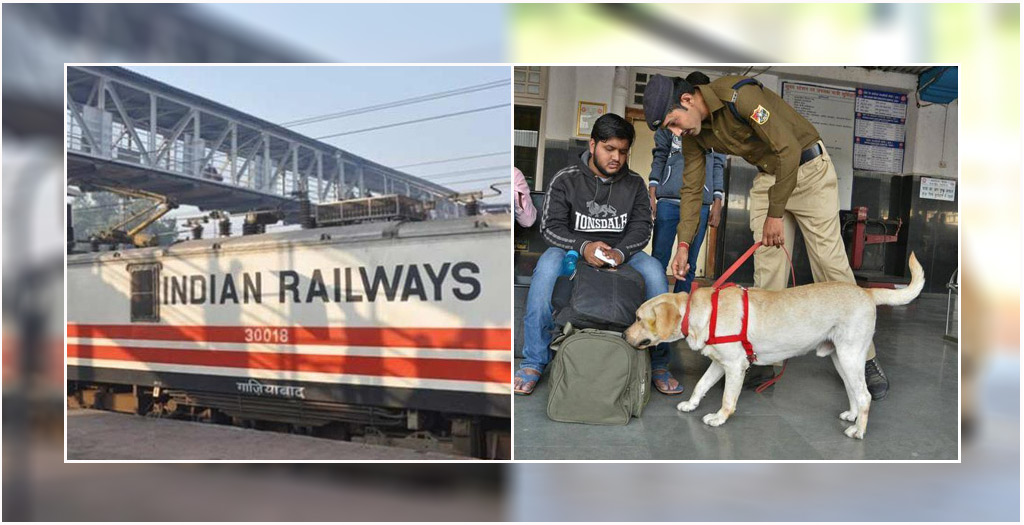 Indian railways dogs