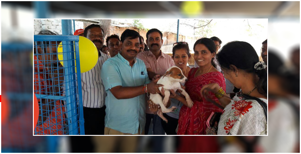 Stray Dog Adoption in Hyderabad