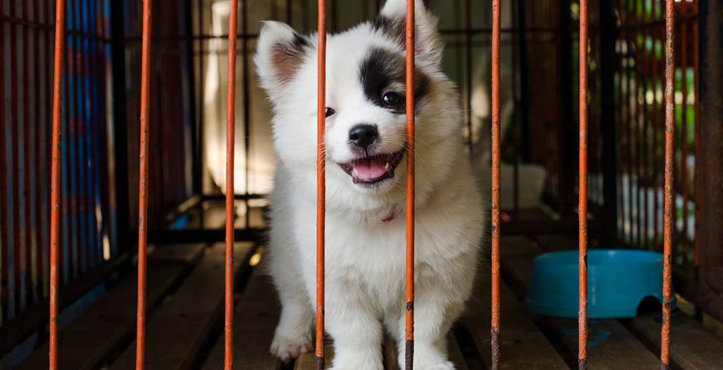 Taiwan feature image