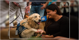 Therapy Dogs Improve Lives of People with Mental Illness