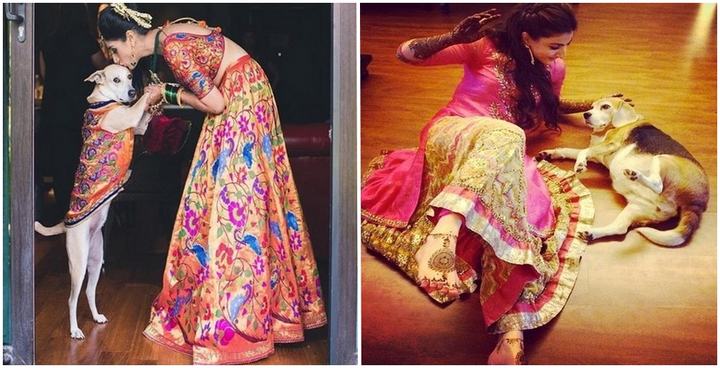 dogs in Indian weddings_1