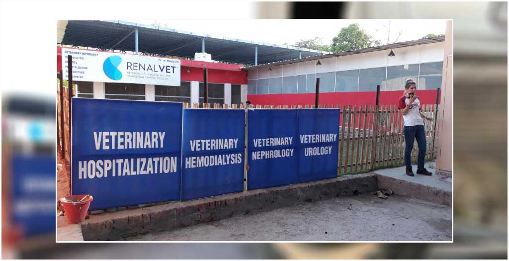 Veterinary Hospitalization