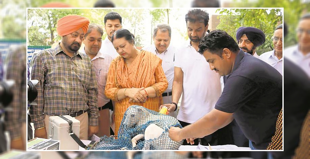 Chandigarh mayor organized an rabis vaccination camp