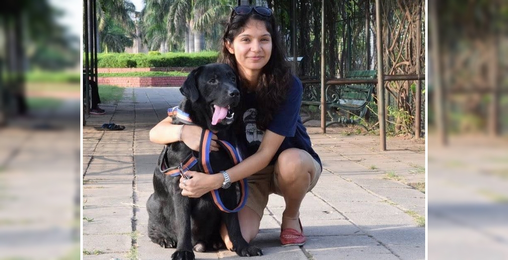 Dog Sitting And Dog Walking Service In The Tricity