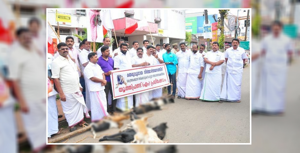 Apologise In Supreme Court For Culling Stray Dogs