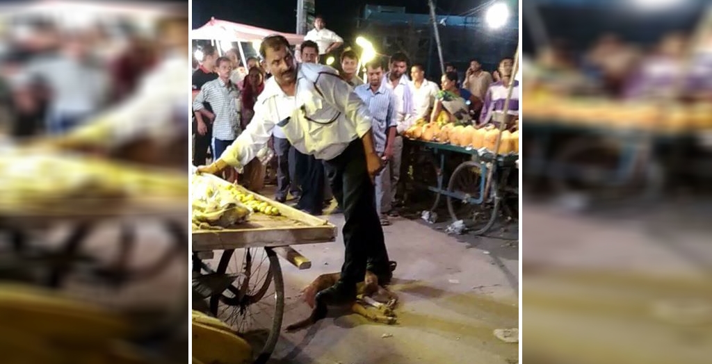 Cop Chokes Dog To Death