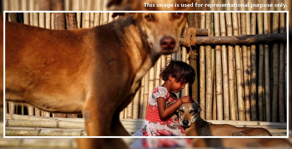 Stray Dogs Protect Abandoned Baby