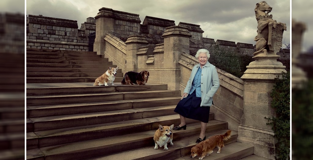 UK Queen Elizabeth Adopts New Corgi