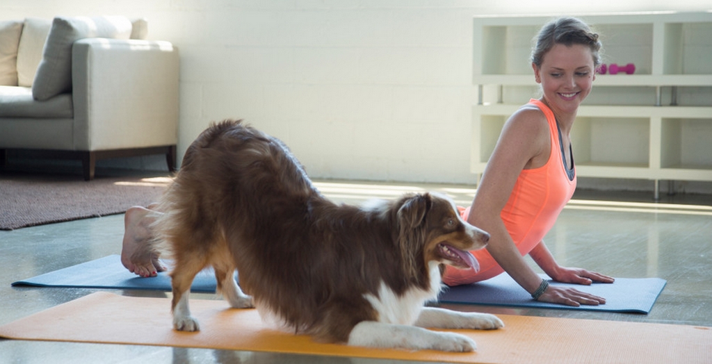 Yoga with your Dog