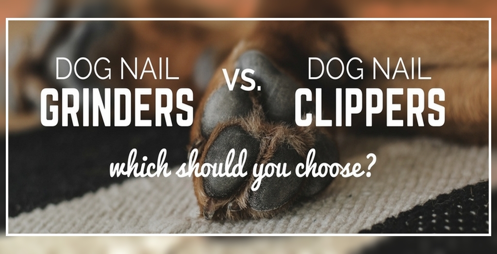 Dog Nail Clippers vs. Grinder