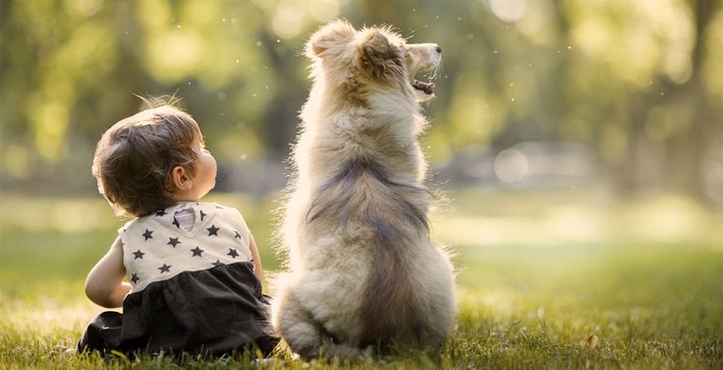 How To Celebrate Friendship Day With Your Pet Dog_1