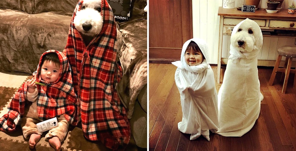 Little girl with her pet poodle