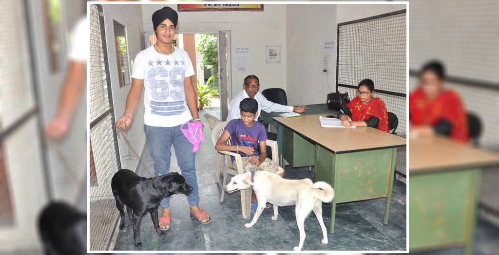 Pet Dogs Registration in Amritsar